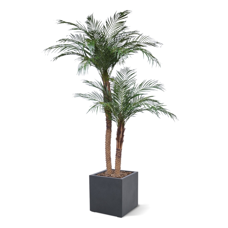 Palma Phoenix artificiale deluxe 225cm
