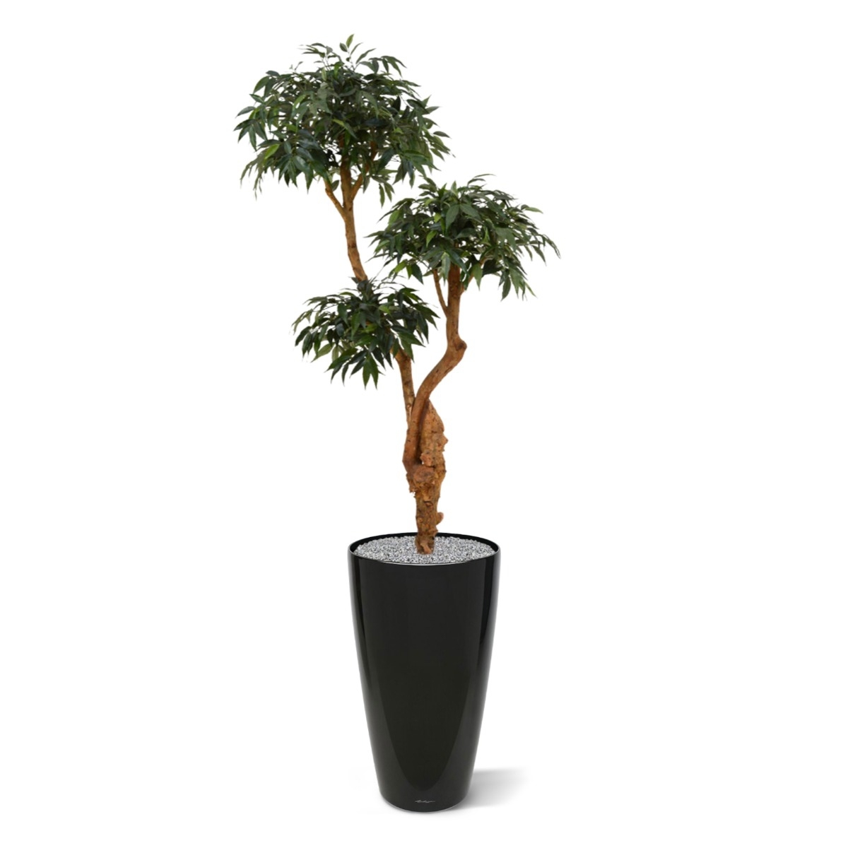 Shirakashi Layer deluxe x3 pianta artificiale 160cm