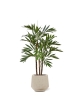 Palma artificiale Parlour deluxe 100 cm