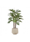 Palma artificiale Parlour deluxe 100 cm