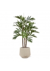 Palma artificiale Parlour deluxe 100 cm