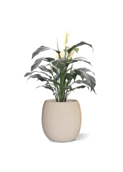 Spathiphyllum deluxe pianta artificiale 80 cm