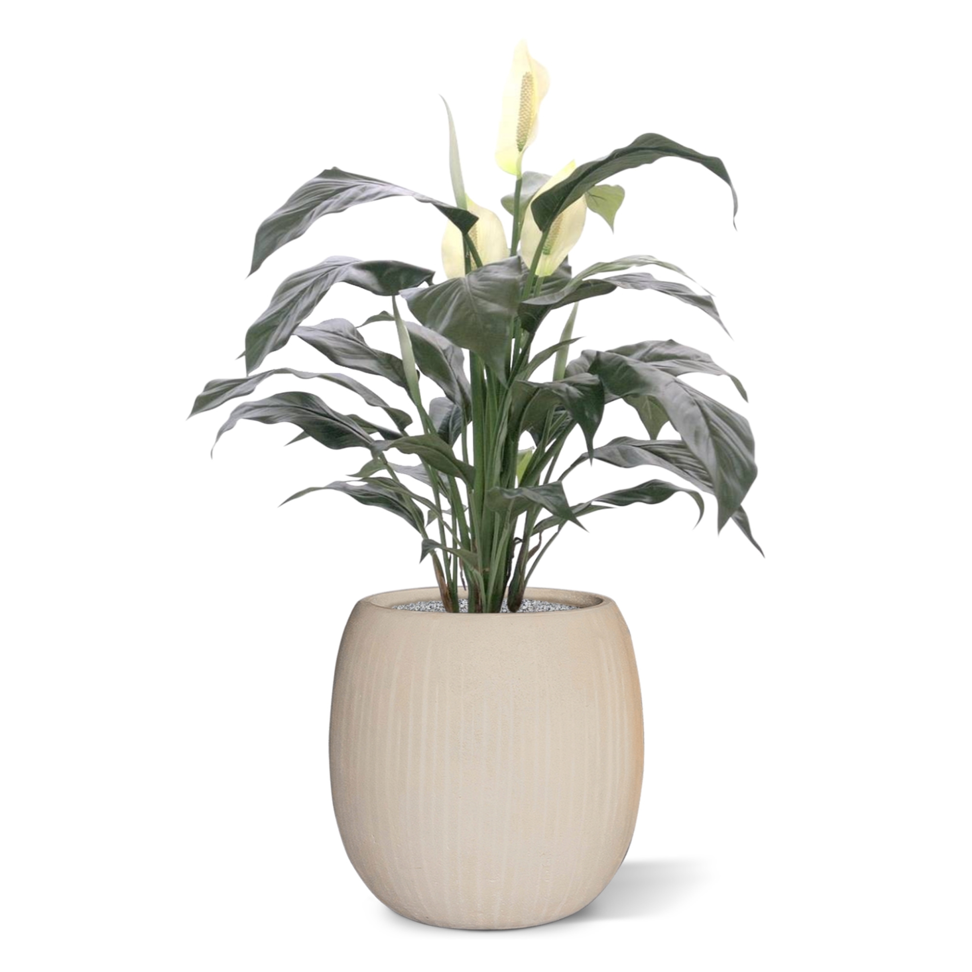 Spathiphyllum deluxe pianta artificiale 80 cm