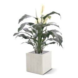 Spathiphyllum deluxe pianta artificiale 80 cm