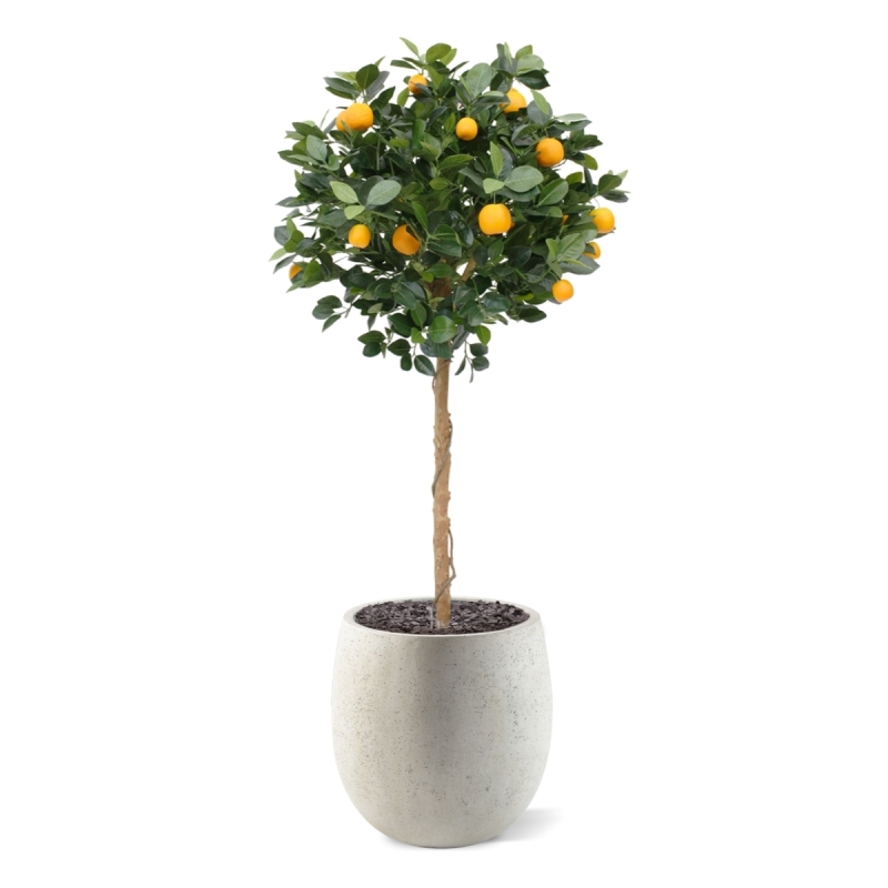 Albero arancione su tronco 120 cm