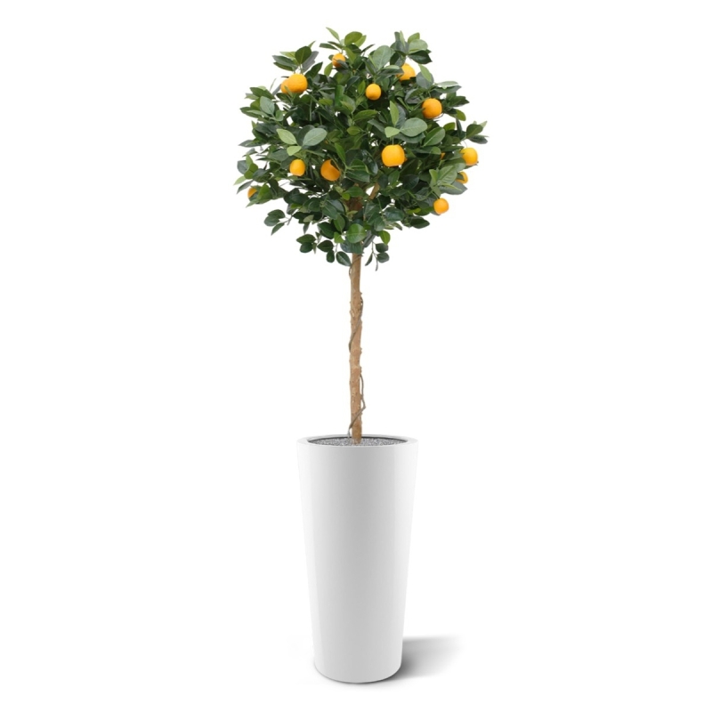 Albero arancione su tronco 120 cm