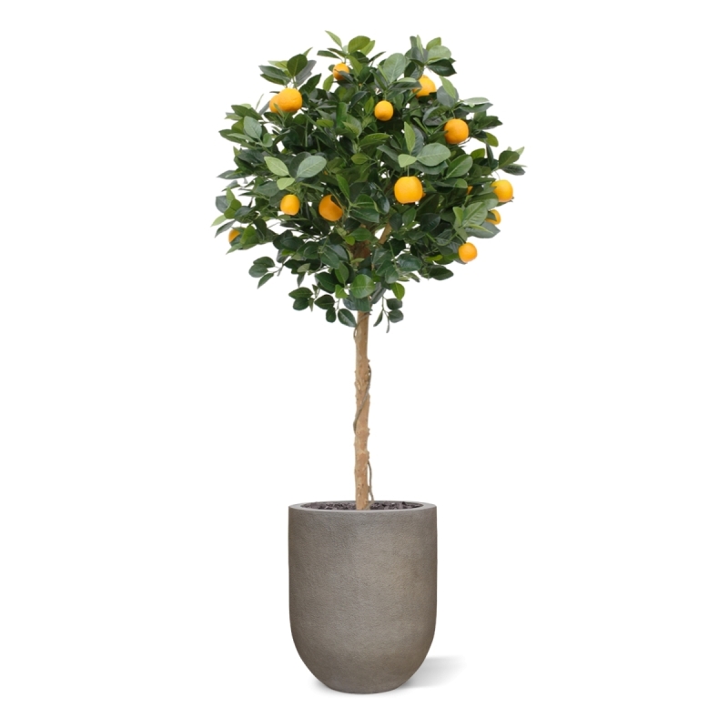 Albero arancione su tronco 120 cm