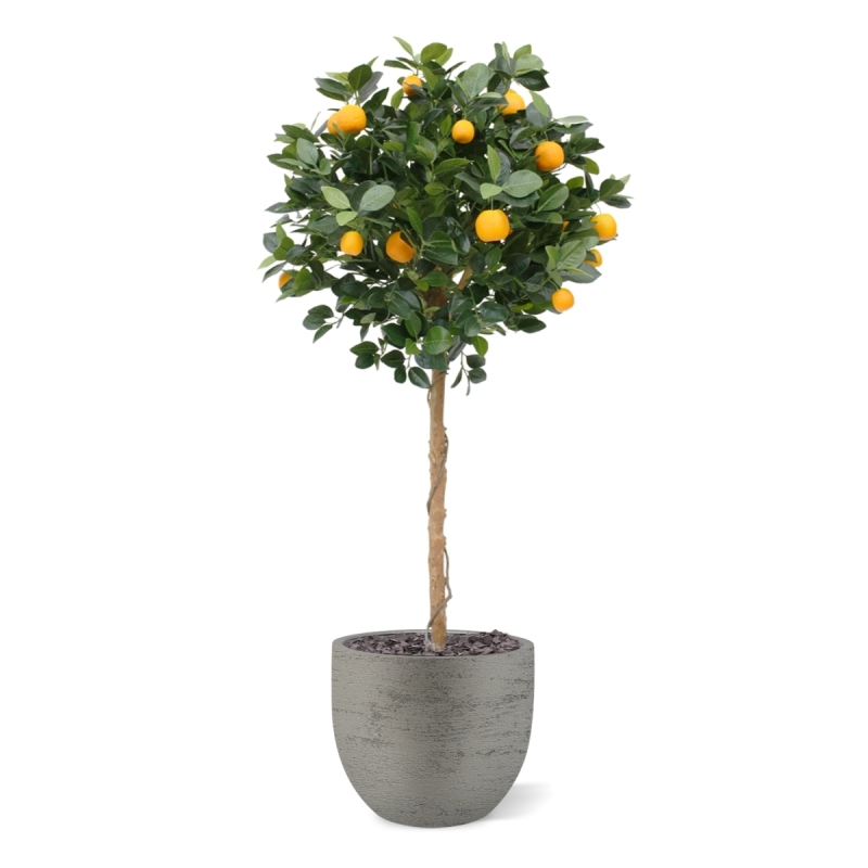 Albero arancione su tronco 120 cm