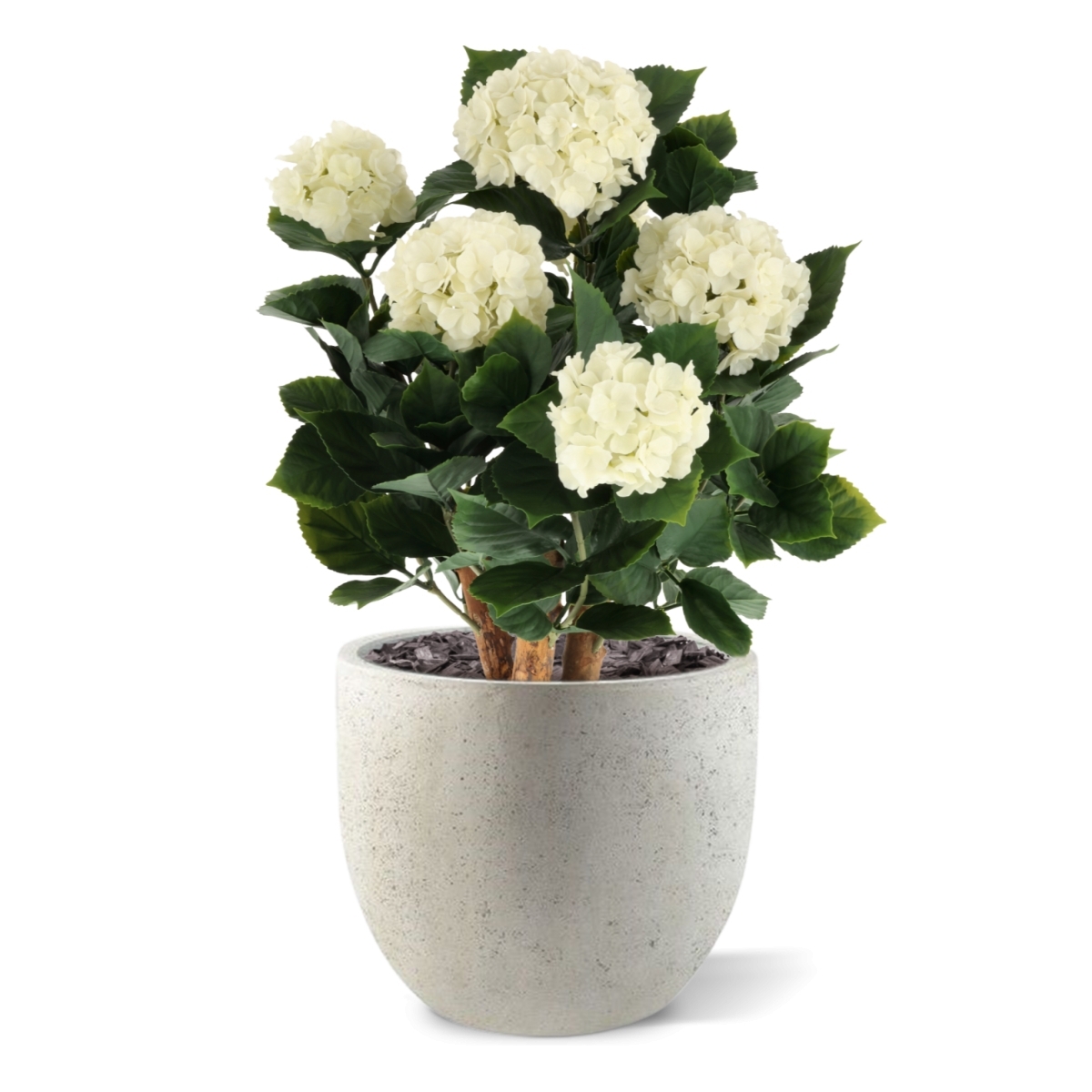 Ortensia Artificiale UV Deluxe 65cm Crema