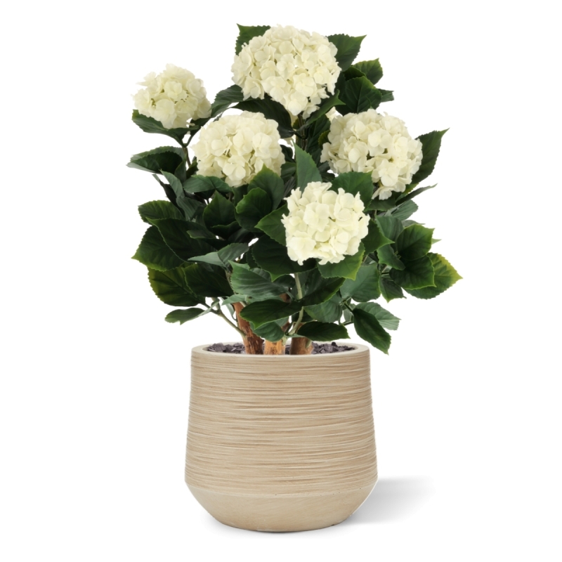 Ortensia Artificiale UV Deluxe 65cm Crema