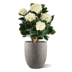 Ortensia Artificiale UV Deluxe 65cm Crema