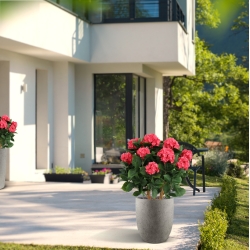 Ortensia Artificiale UV Deluxe 80cm Cerise