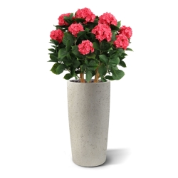 Ortensia Artificiale UV Deluxe 80cm Cerise