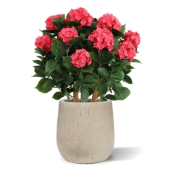 Ortensia Artificiale UV Deluxe 80cm Cerise