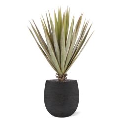 Pianta artificiale Yucca Gloriosa 80 cm in vaso