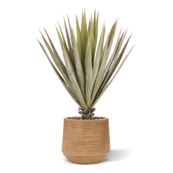 Pianta artificiale Yucca Gloriosa 80 cm in vaso