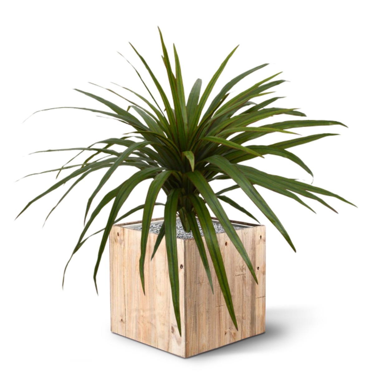 Bouquet artificiale di Draceana Marginata 50 cm