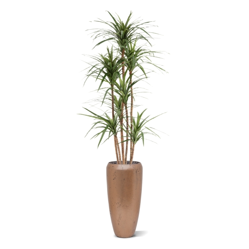 Dracaena Marginata Deluxe Artificiale 160cm