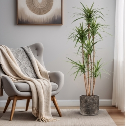 Dracaena Marginata Deluxe Artificiale 160cm