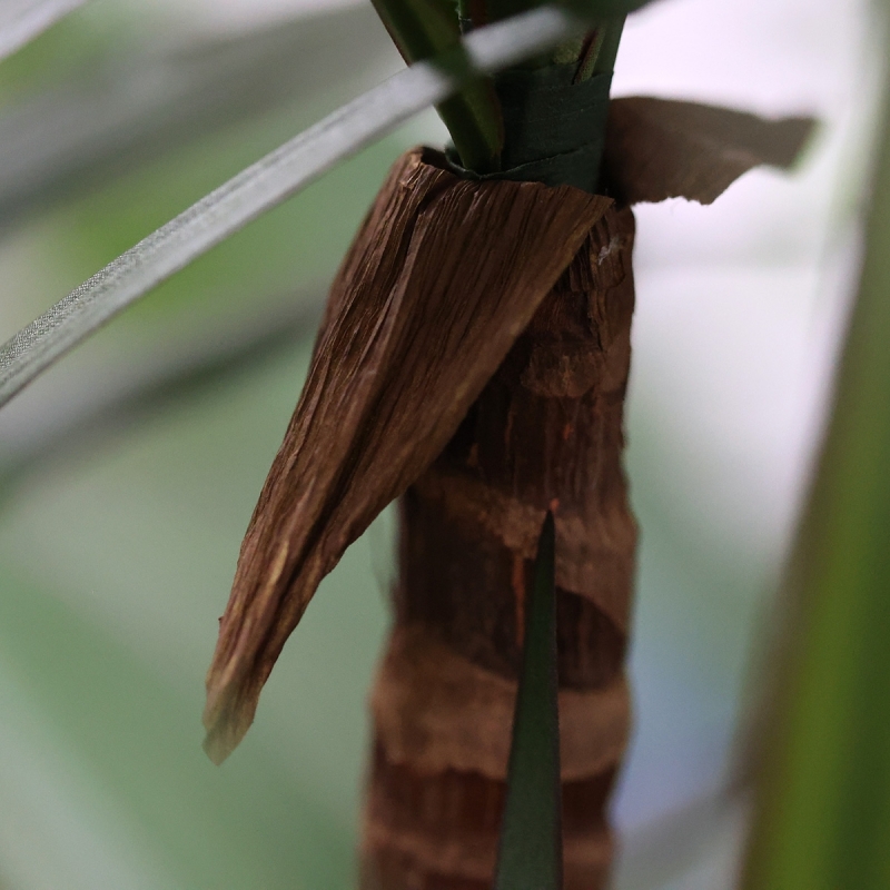 Dracaena Marginata Deluxe Artificiale 160cm
