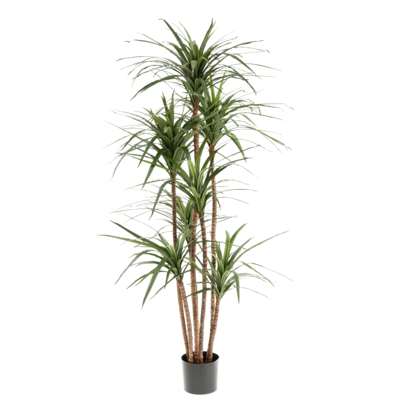 Dracaena Marginata Deluxe Artificiale 160cm