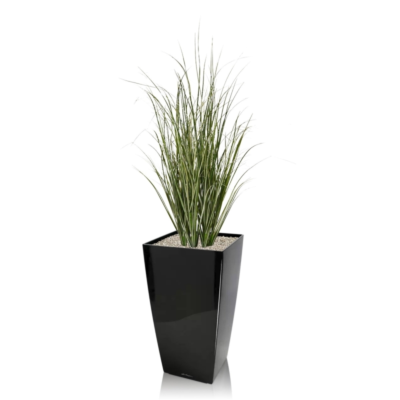 Pianta di canna artificiale 60 cm - verde/crema