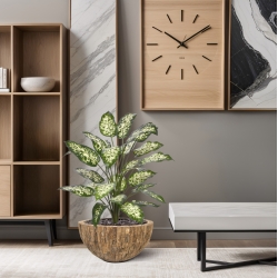 Pianta Artificiale Dieffenbachia 75cm Deluxe