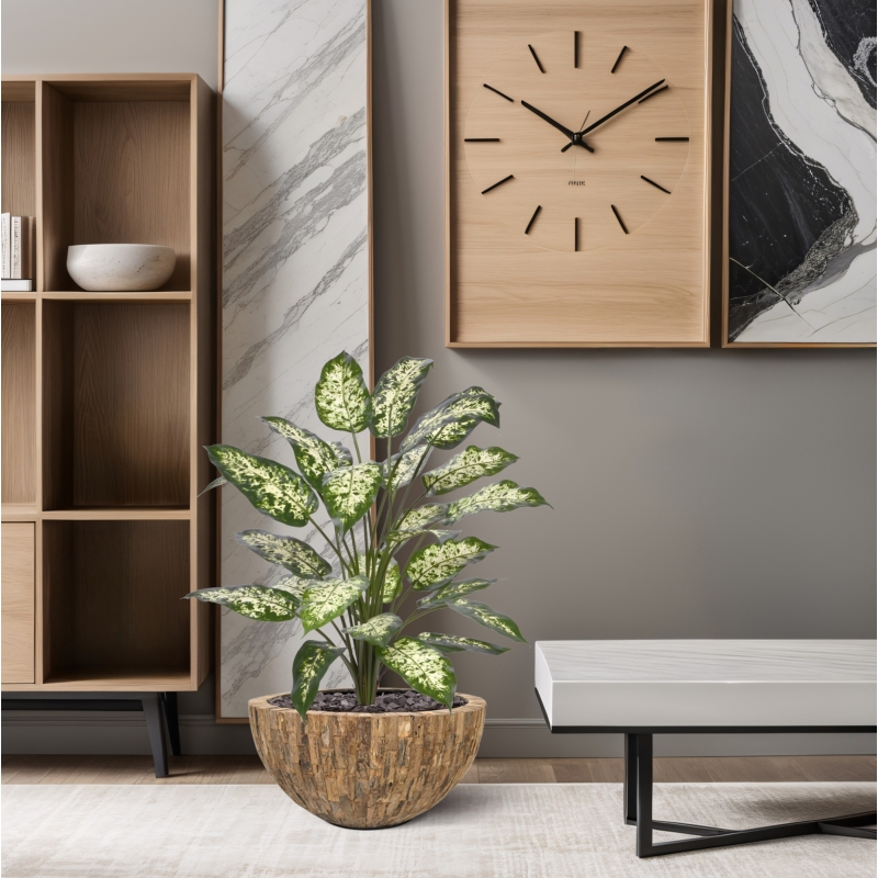 Pianta Artificiale Dieffenbachia 75cm Deluxe