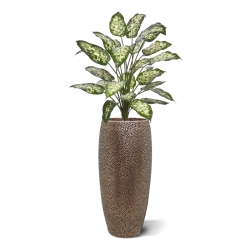 Pianta Artificiale Dieffenbachia 75cm Deluxe