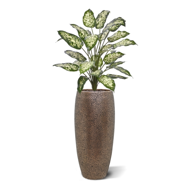 Pianta Artificiale Dieffenbachia 75cm Deluxe