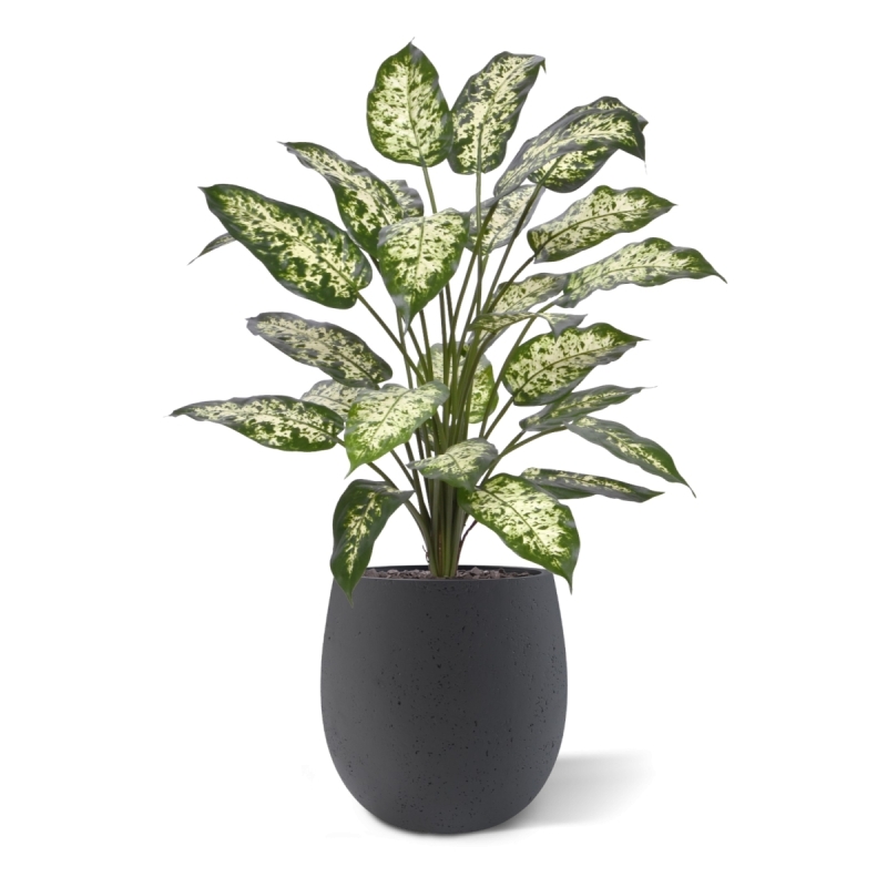 Pianta Artificiale Dieffenbachia 75cm Deluxe