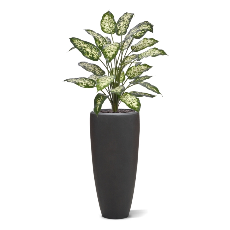 Pianta Artificiale Dieffenbachia 75cm Deluxe