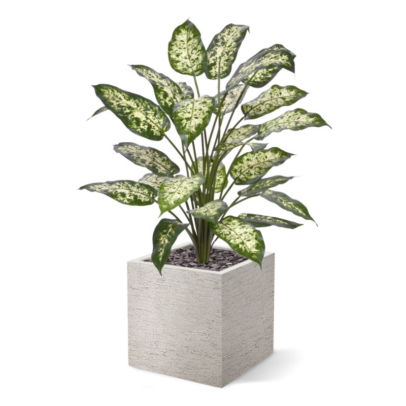 Pianta Artificiale Dieffenbachia 75cm Deluxe