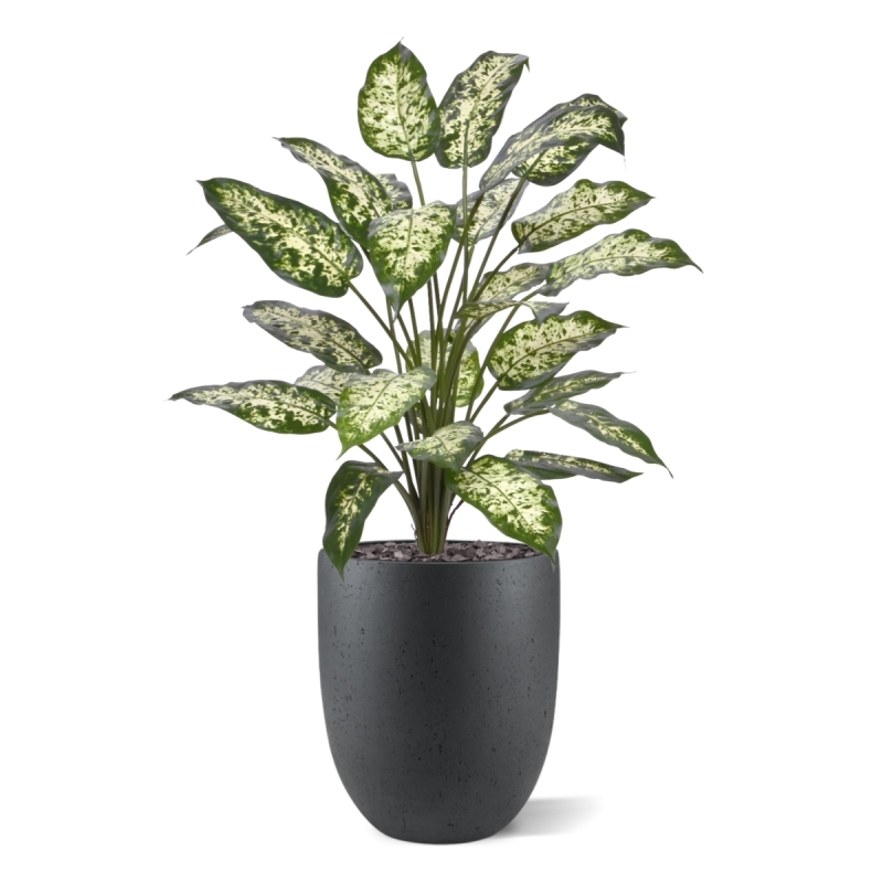 Pianta Artificiale Dieffenbachia 75cm Deluxe