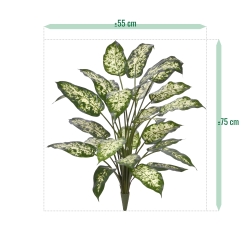 Pianta Artificiale Dieffenbachia 75cm Deluxe