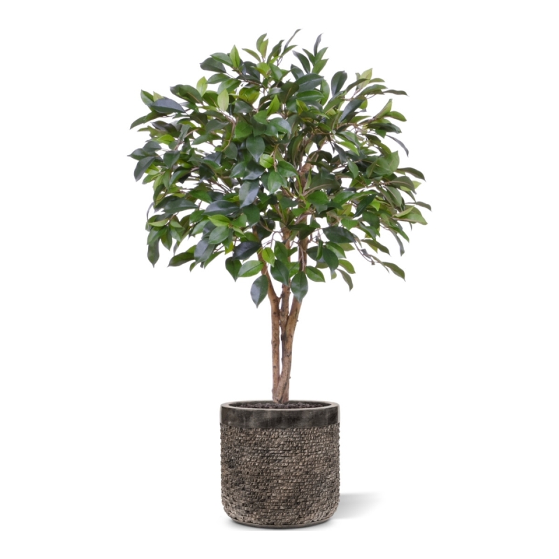 Pianta artificiale Ficus Folia su stelo 75cm