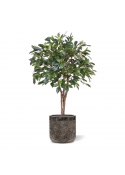 Pianta artificiale Ficus Folia su stelo 75cm