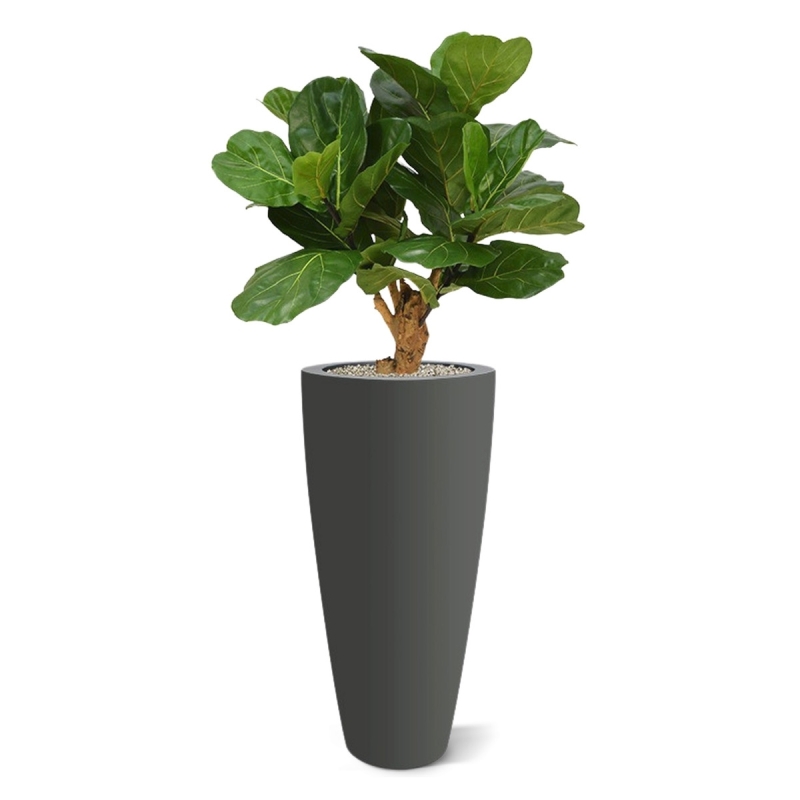 Pianta artificiale Lyrata deluxe su stelo 80 cm