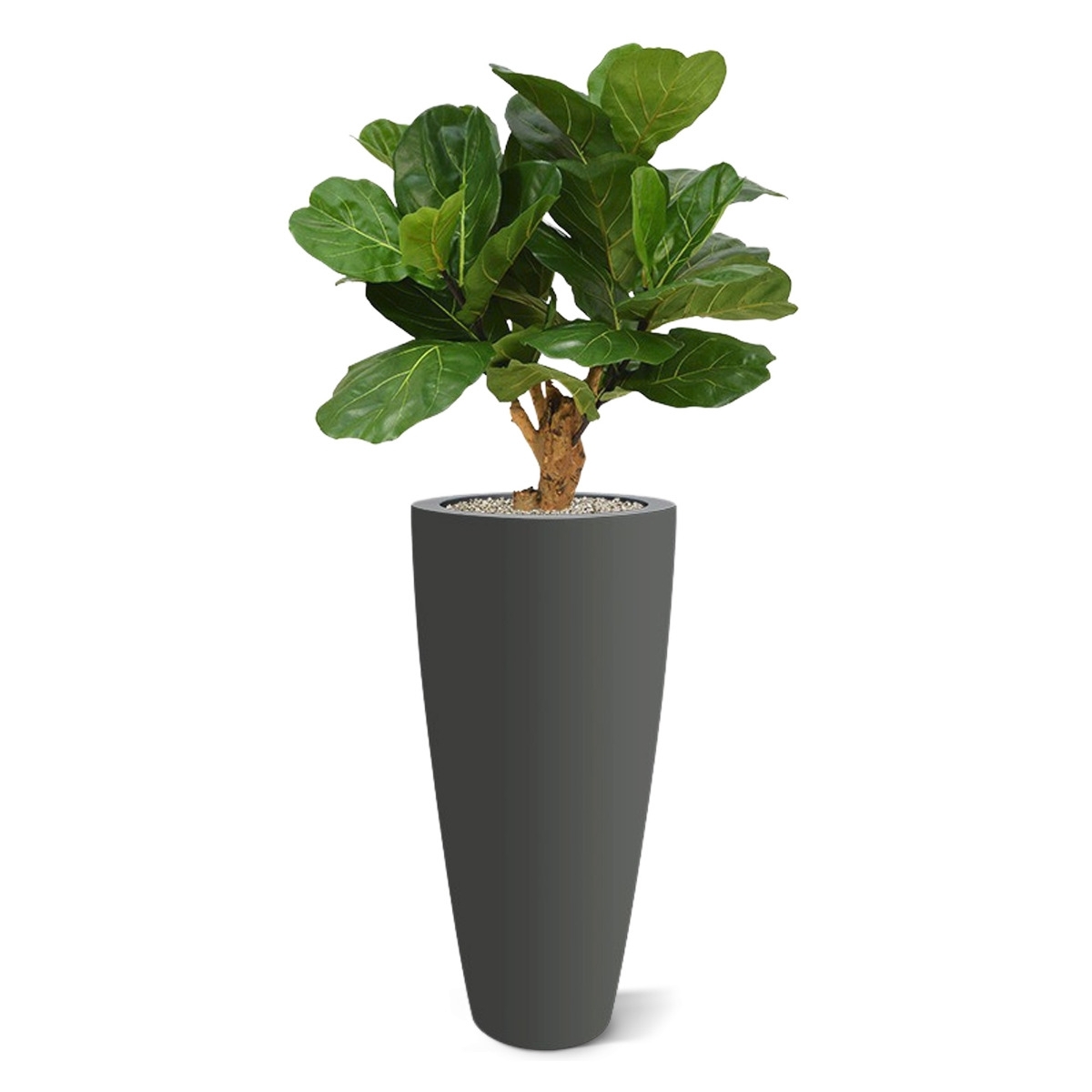 Pianta artificiale Lyrata deluxe su stelo 80 cm