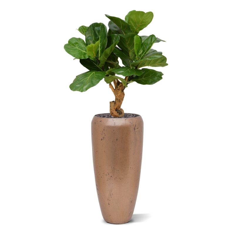 Pianta artificiale Lyrata deluxe su stelo 80 cm