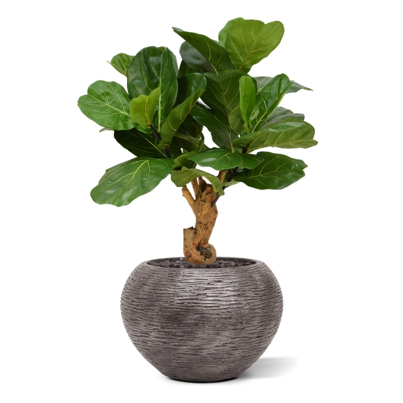 Pianta artificiale Lyrata deluxe su stelo 80 cm