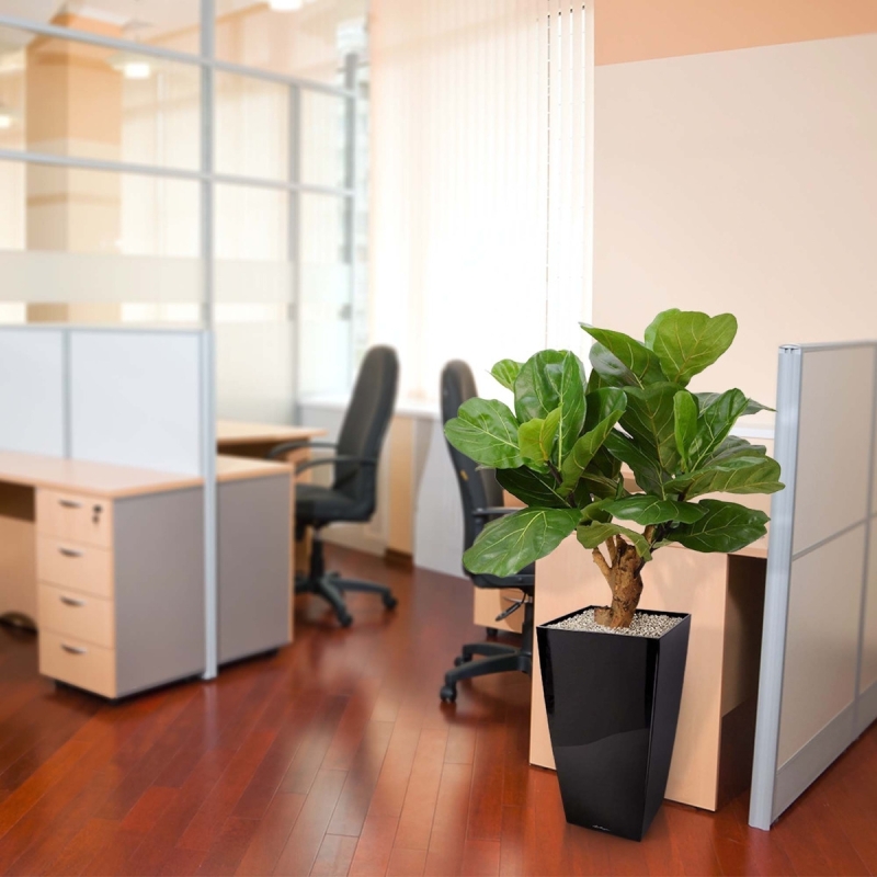 Pianta artificiale Lyrata deluxe su stelo 80 cm