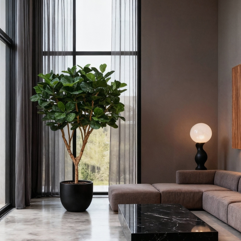 Albero artificiale Ficus Lyrata XL Deluxe 300cm
