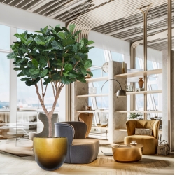 Albero artificiale Ficus Lyrata XL Deluxe 300cm