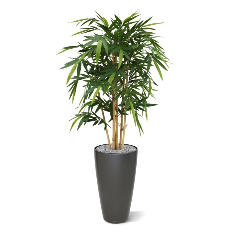 Pianta artificiale di bambù 120 cm