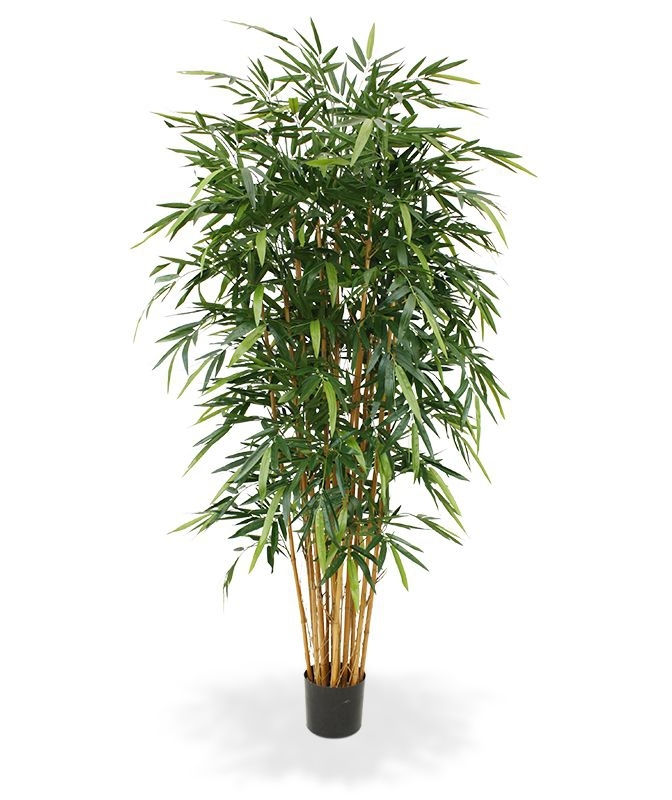 Albero artificiale di bambù deluxe 210 cm