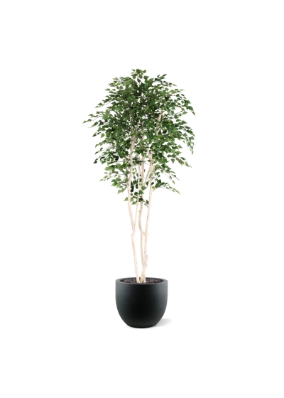 Albero artificiale di betulla Deluxe 250 cm
