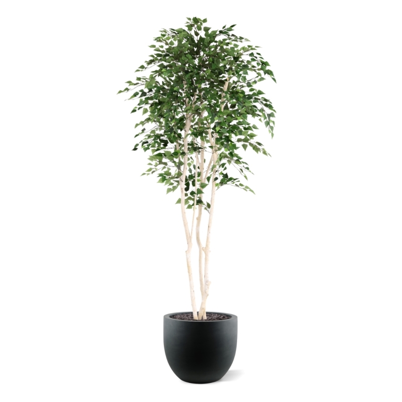 Albero artificiale di betulla Deluxe 250 cm
