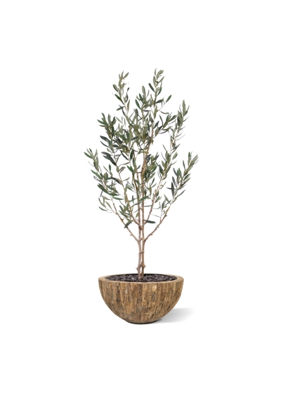Ulivo Artificiale N 120cm