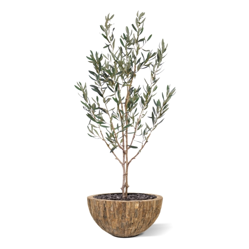 Ulivo Artificiale N 120cm